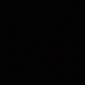 Meet your Posher, Darius